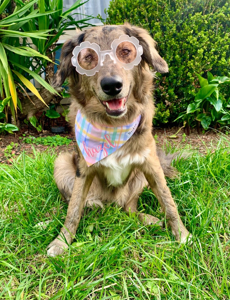 CUSTOMIZE Spring Plaid Over the Collar Dog Bandana