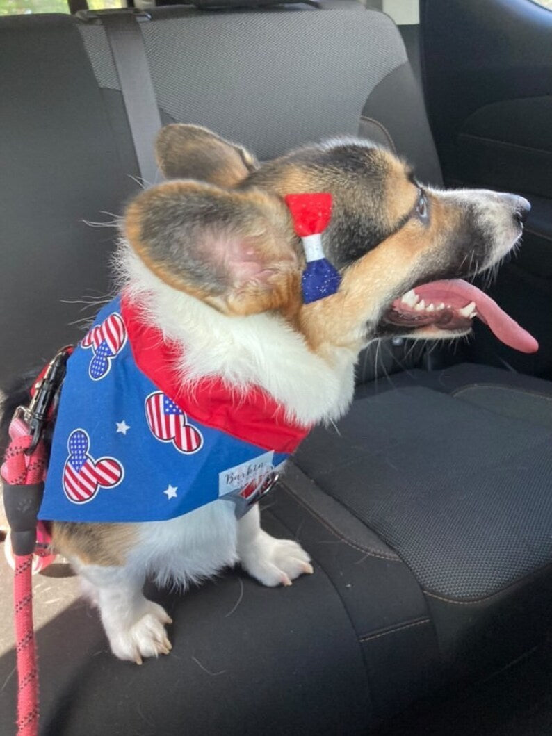Mickey Mouse Patriotic Summer Over the Collar Dog Bandana