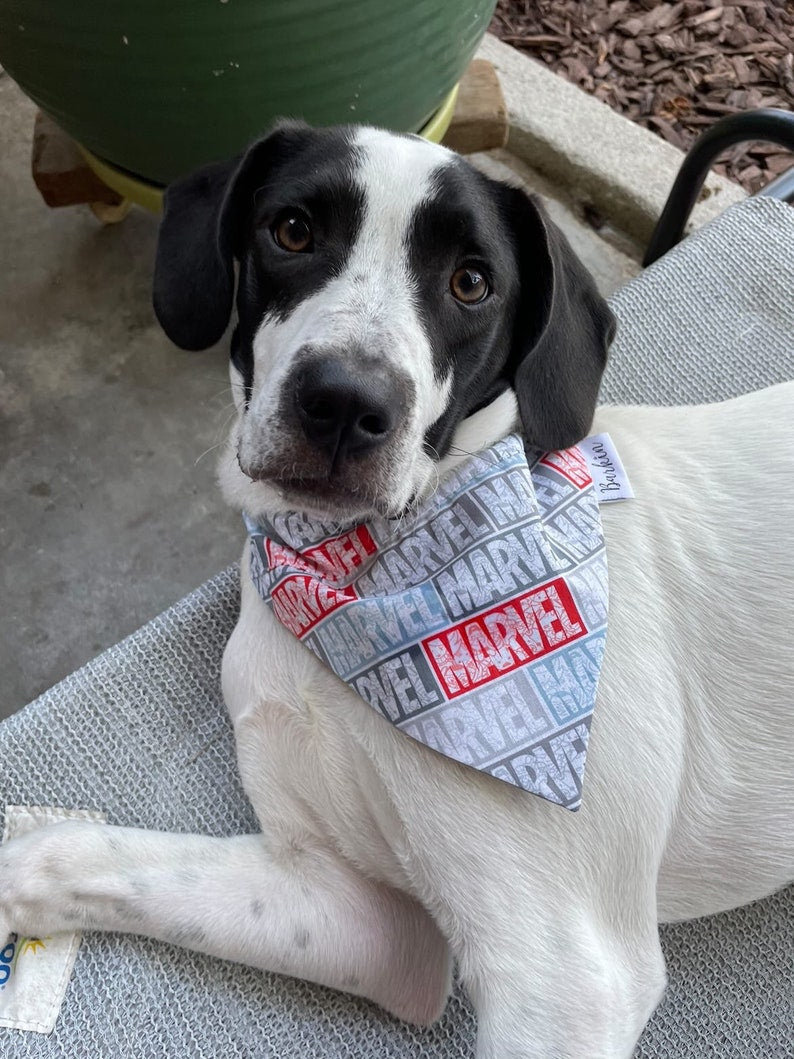 Marvel Over the Collar Dog Bandana