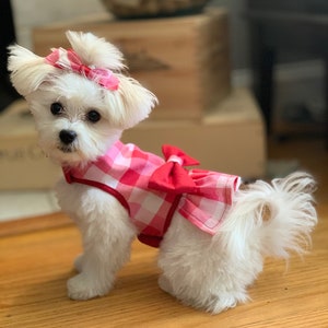 Adorable Red/Pink Gingham Dog Dress with Velcro and Matching Hair Bow