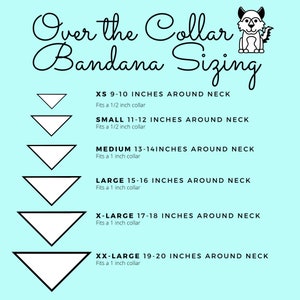Buzz Over the Collar Dog Bandana