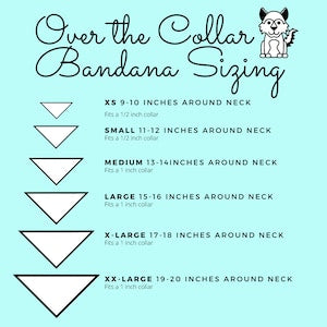 Belle Over the Collar Dog Bandana