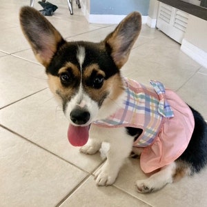 Spring Time Gingham Dog Dress with Velcro and Matching Hair Bow