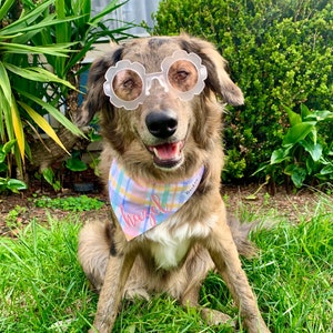 CUSTOMIZE Spring Plaid Over the Collar Dog Bandana
