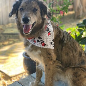 Mickey Mouse Over the Collar Dog Bandana