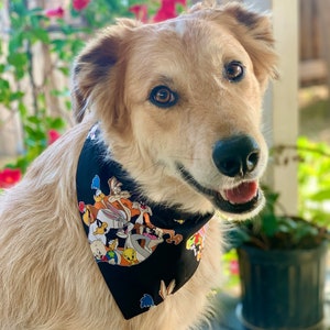 Looney Cartoon Over the Collar Dog Bandana