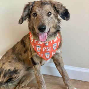 PSL Over the Collar Dog Bandana