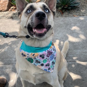 Sugar Skulls Over the Collar Dog Bandana