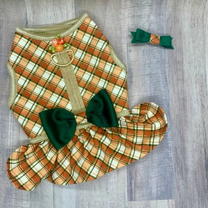 Fall Thanksgiving Dog Dress with Velcro and Matching Hair Bow