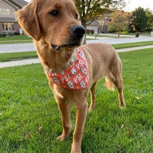 PSL Over the Collar Dog Bandana