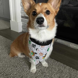 Halloween Friends Over the Collar Dog Bandana