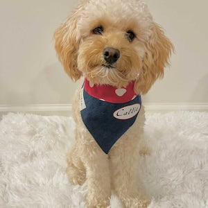Personalized Rosie the Riveter Over the Collar Dog Bandana
