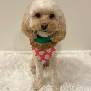 LILO Ohana Stitch Over the Collar Dog Bandana