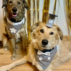 Steamboat Mice Over the Collar Dog Bandana