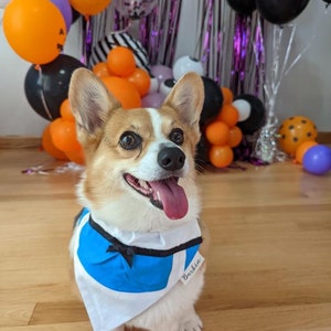 Alice Over the Collar Dog Bandana
