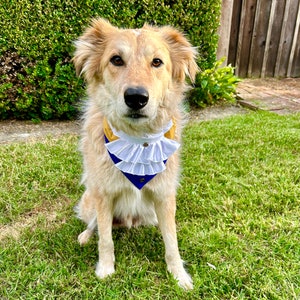Beast Over the Collar Dog Bandana