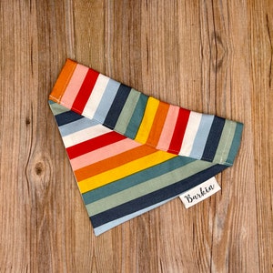 Warm Rainbow Dog Bone Over the Collar Dog Bandana