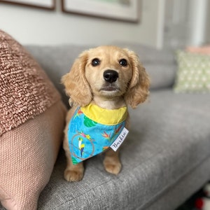 Tiki Room Birds Over the Collar Dog Bandana