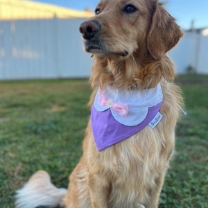 Classic Duck Over the Collar Dog Bandana