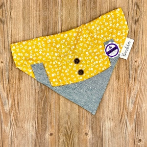 Ellie UP Over the Collar Dog Bandana
