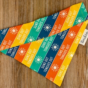 Suns Out Over the Collar Dog Bandana