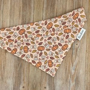 Pumpkin and Latte Over the Collar Dog Bandana