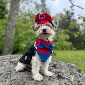 Red Italian Brother Over the Collar Dog Bandana