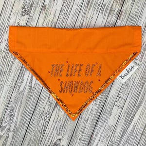 Life of a Showdog Over the Collar Dog Bandana
