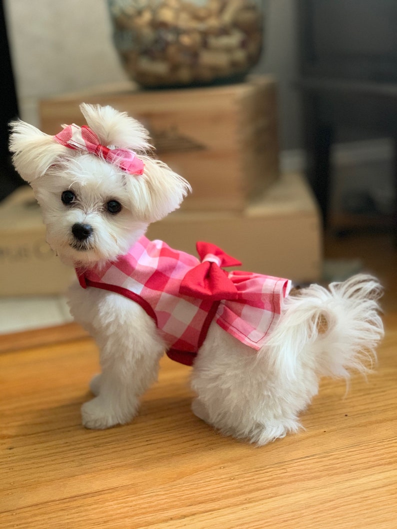 Adorable Red/Pink Gingham Dog Dress with Velcro and Matching Hair Bow