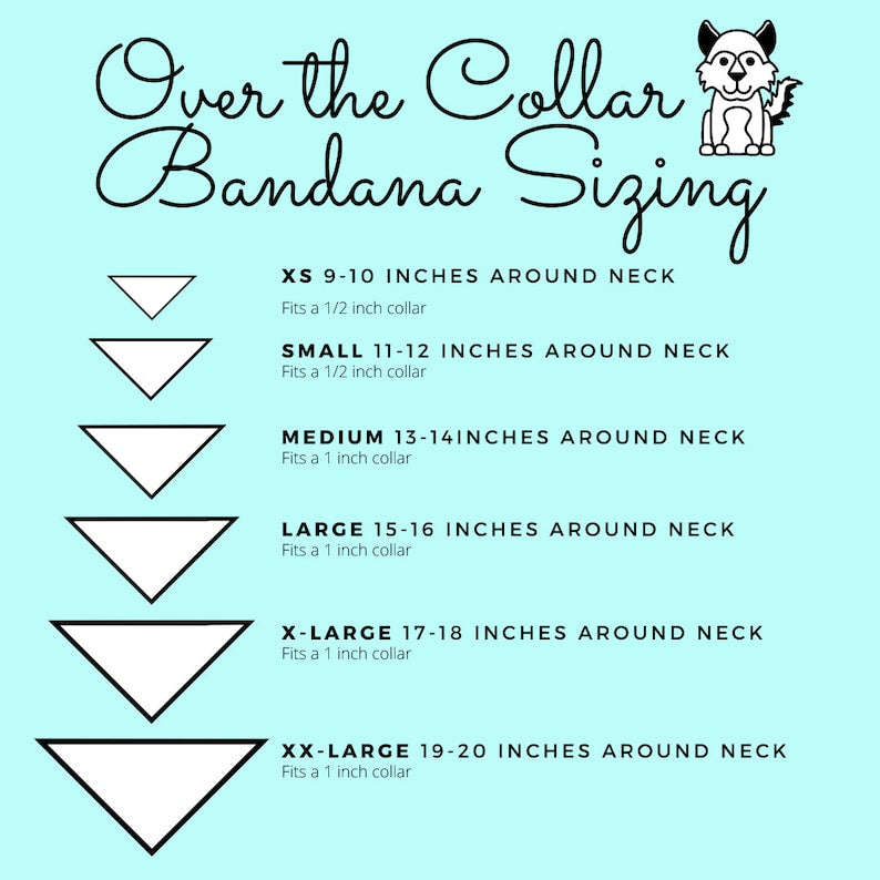 Disney Encanto Over the Collar Dog Bandana