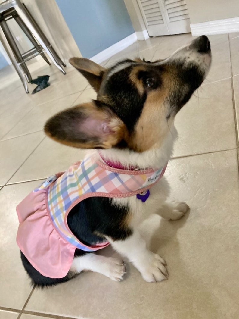 Spring Time Gingham Dog Dress with Velcro and Matching Hair Bow