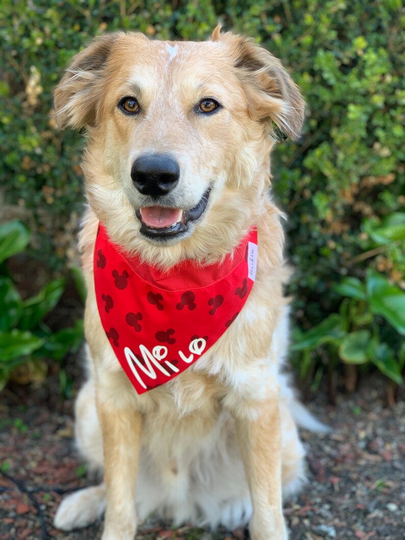 CUSTOM Red Mickey Mouse Over the Collar Dog Bandana