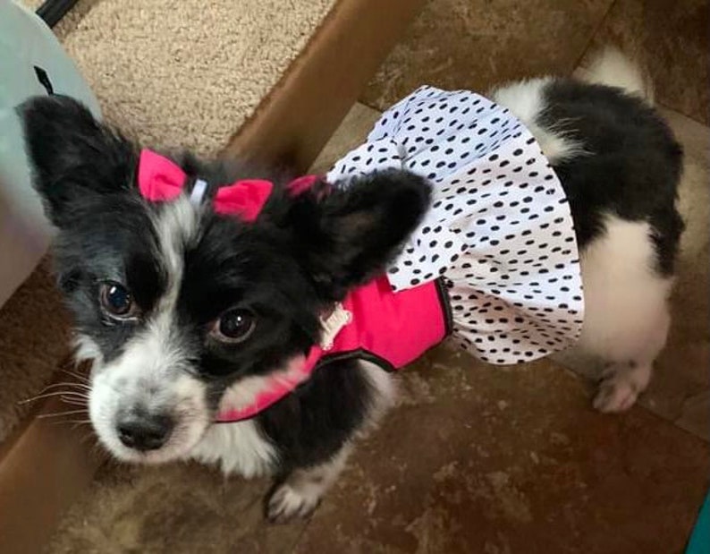 Hot Pink and Polka Dot Dog Dress with Velcro and Matching Hair Bow