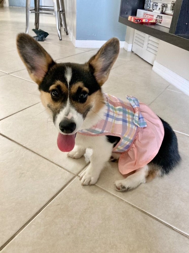 Spring Time Gingham Dog Dress with Velcro and Matching Hair Bow