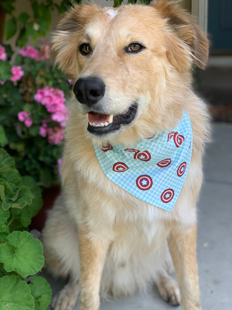 Captain America Patriotic Summer Over the Collar Dog Bandana