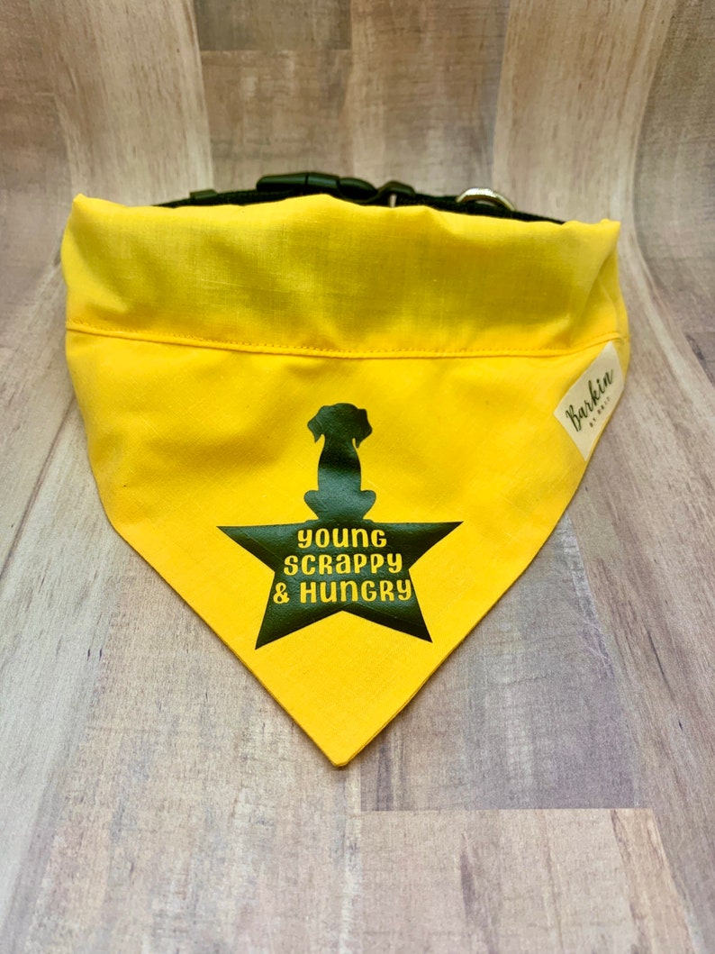 HAMILTON Young Scrappy Hungry Over the Collar Dog Bandana