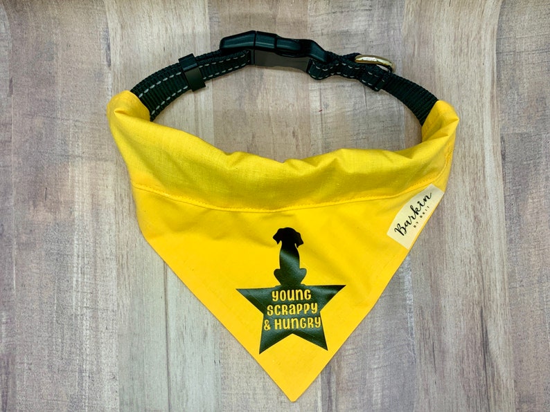 HAMILTON Young Scrappy Hungry Over the Collar Dog Bandana