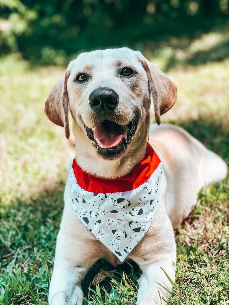 101 Dalmatians Over the Collar Dog Bandana