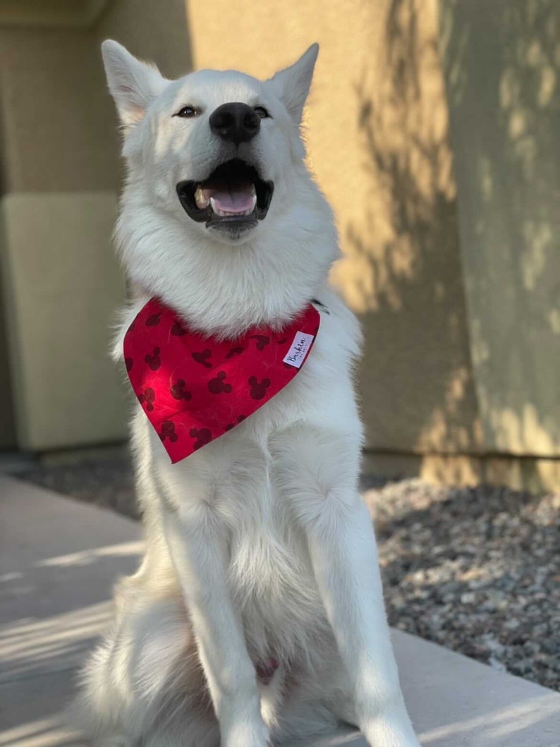 CUSTOM Red Mickey Mouse Over the Collar Dog Bandana