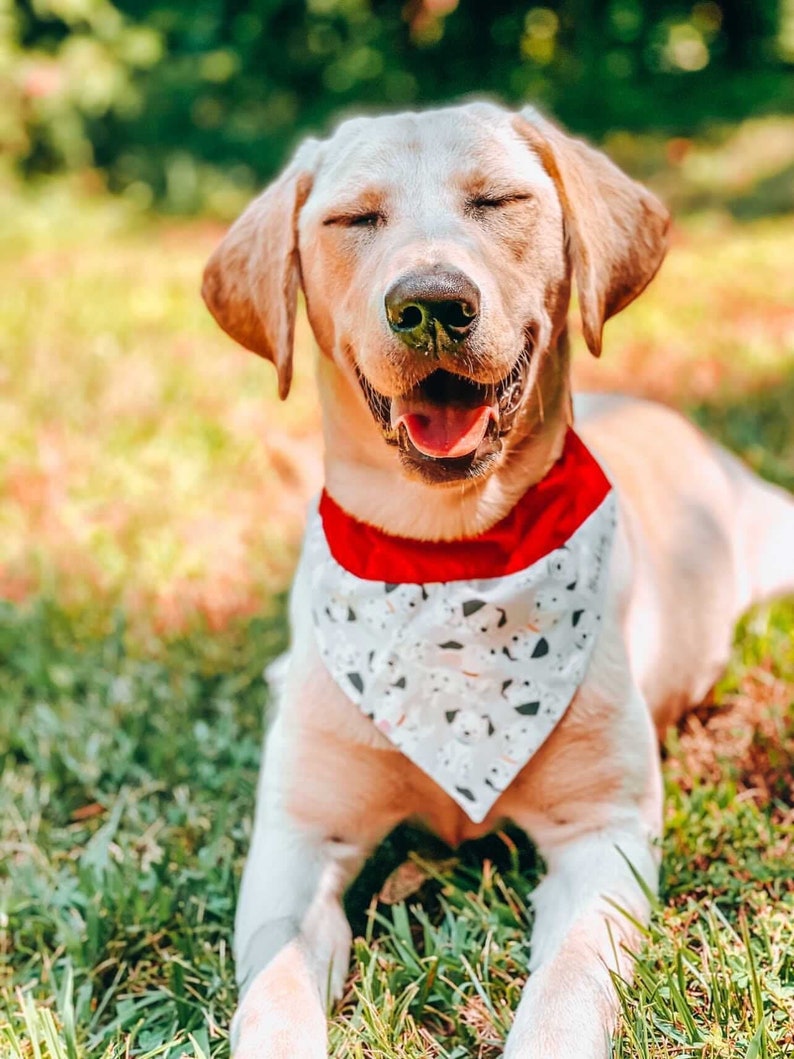 101 Dalmatians Over the Collar Dog Bandana