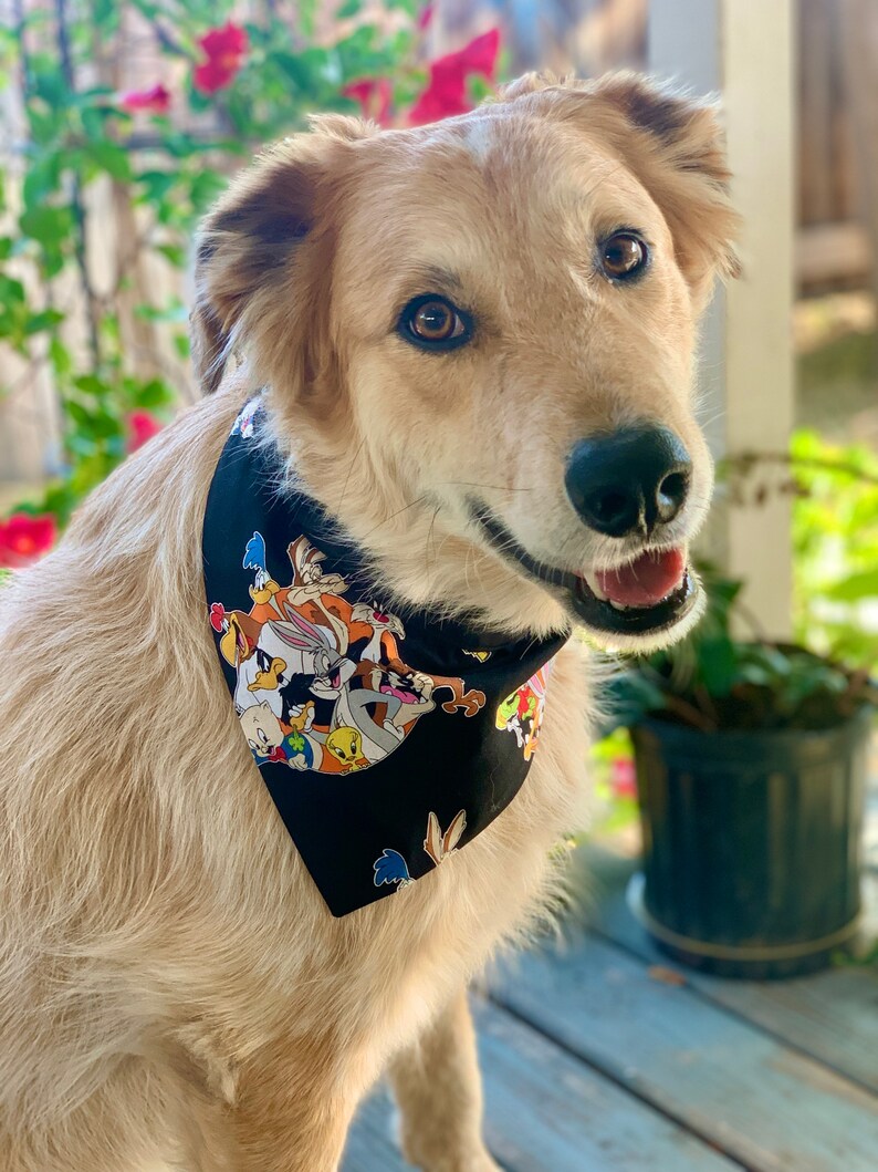 Looney Cartoon Over the Collar Dog Bandana