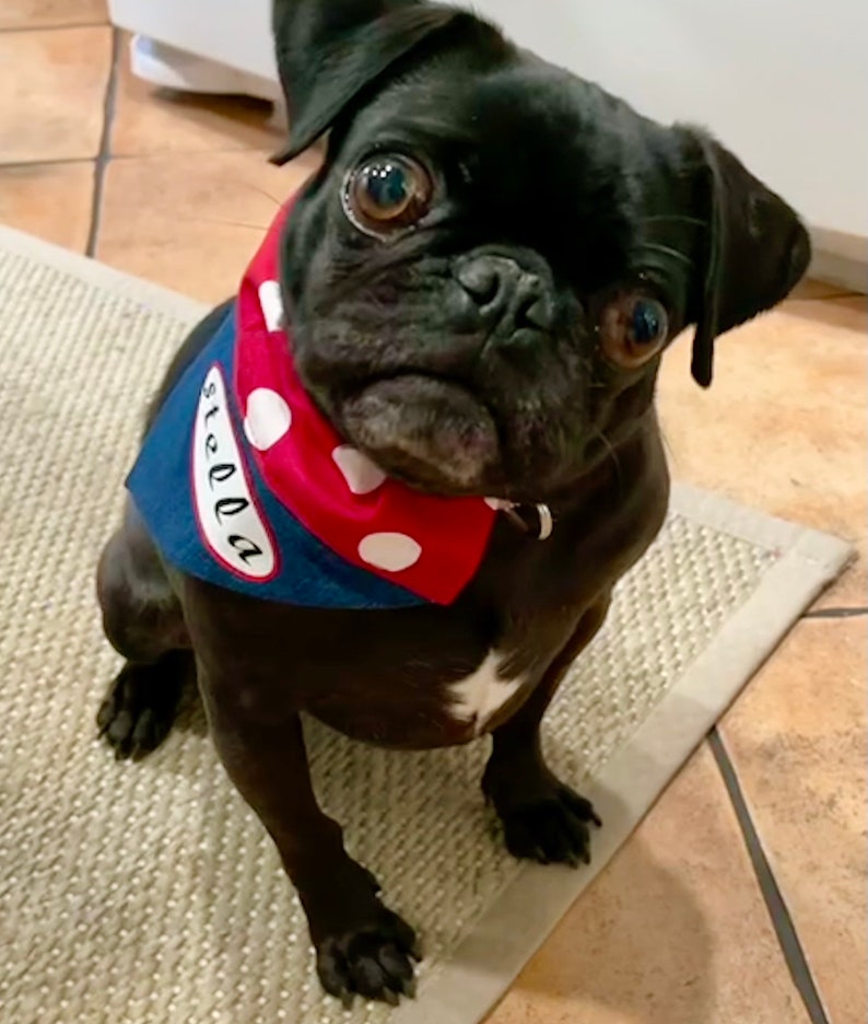 Personalized Rosie the Riveter Over the Collar Dog Bandana