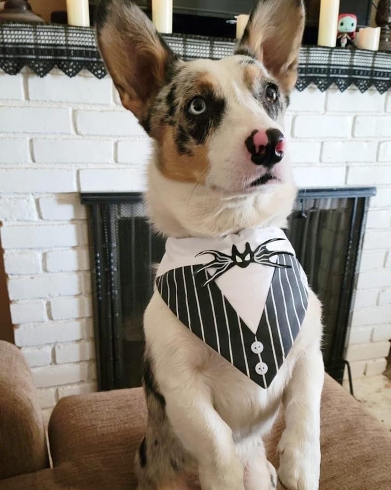 Jack Skellington Over the Collar Dog Bandana