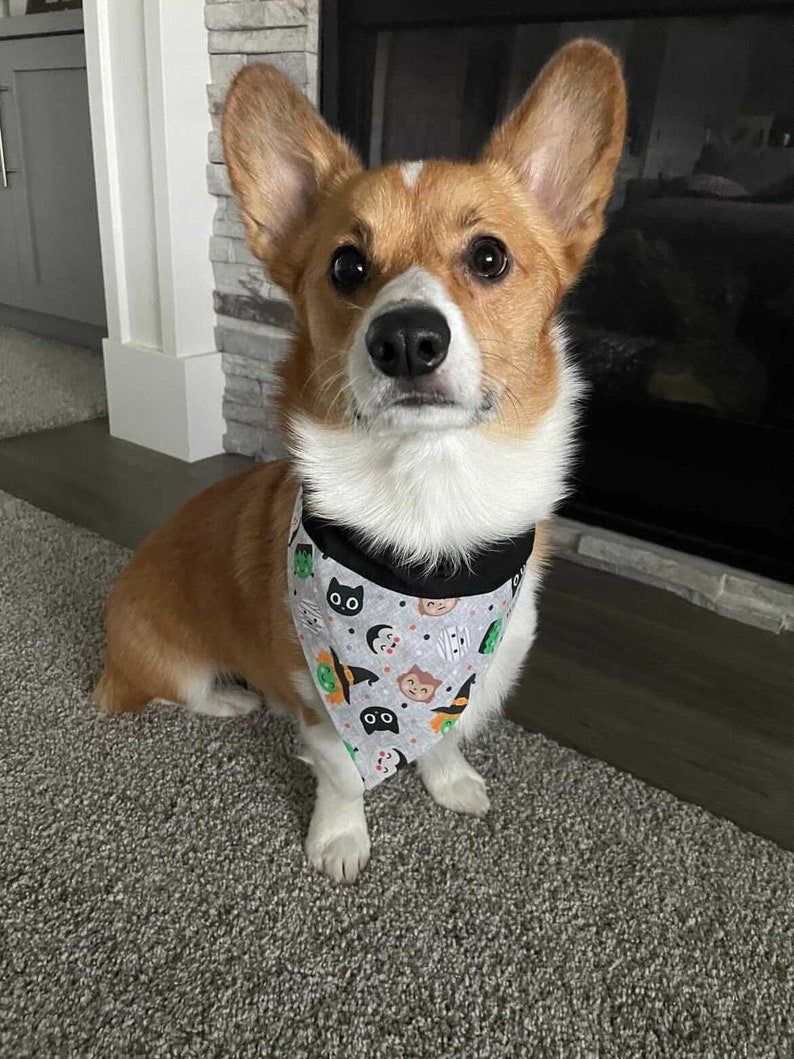 Halloween Friends Over the Collar Dog Bandana
