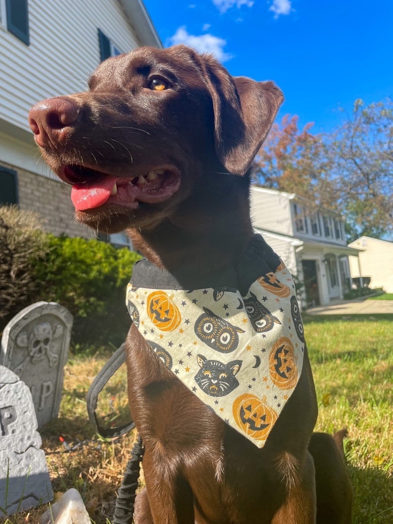 Vintage Halloween Over the Collar Dog Bandana