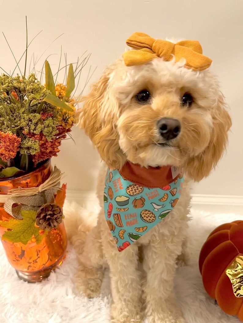 Feast Mode Over the Collar Dog Bandana