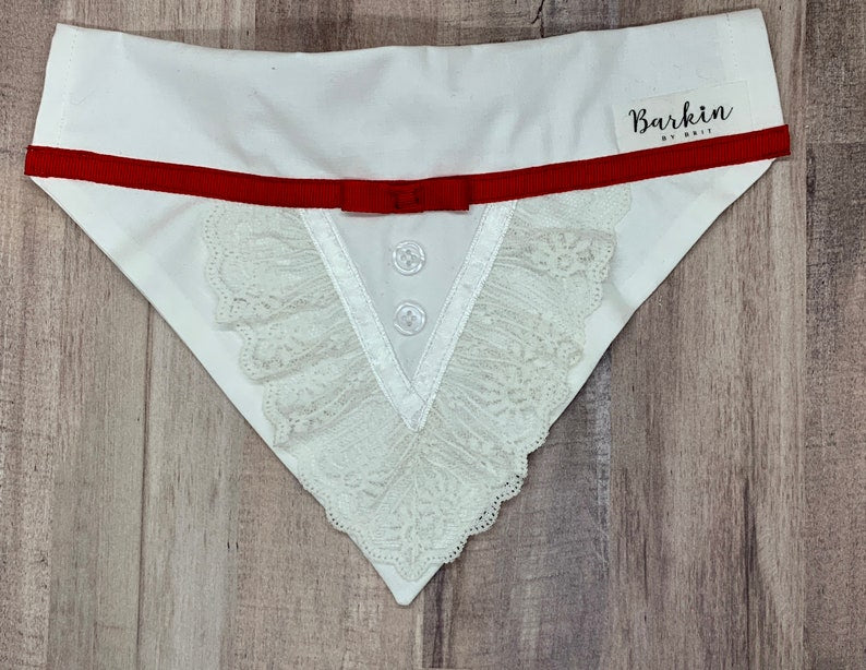 Jolly Holiday Mary and Burt Over the Collar Dog Bandana