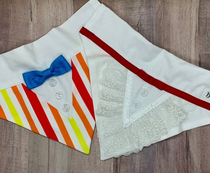 Jolly Holiday Mary and Burt Over the Collar Dog Bandana