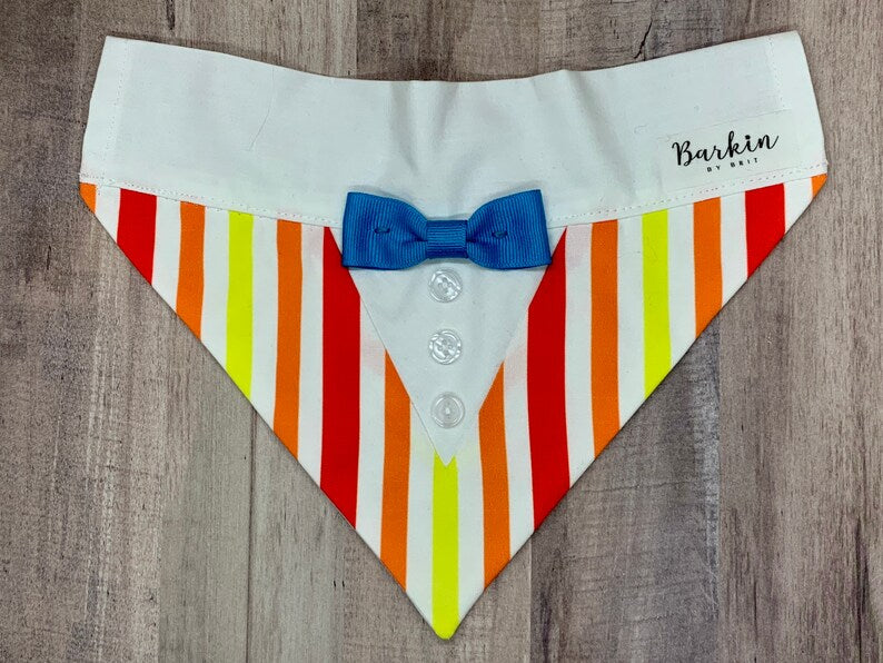 Jolly Holiday Mary and Burt Over the Collar Dog Bandana