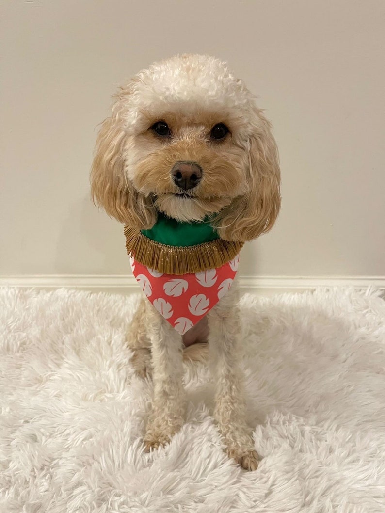 LILO Ohana Stitch Over the Collar Dog Bandana